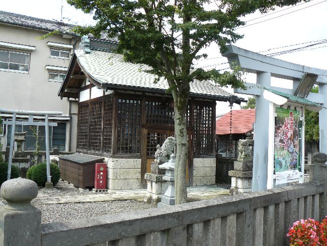 ���{�_��