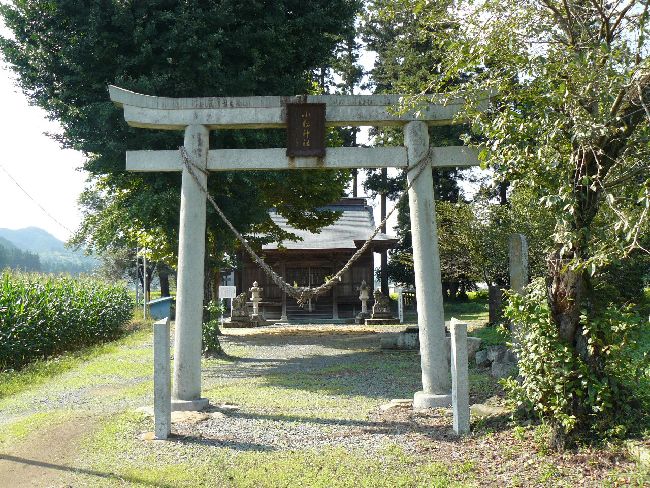 �����_��