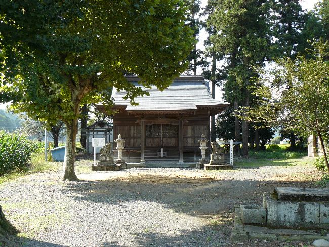 �����_��