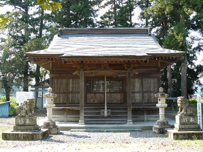 �����_��