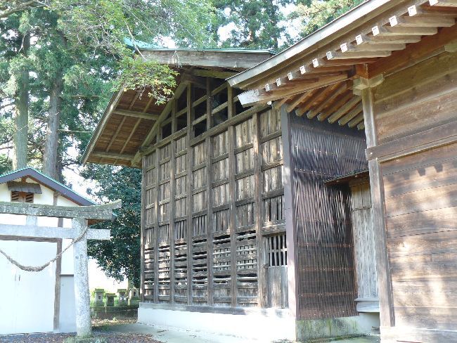 �����_��