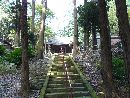 生子神社参道の石段と緑が濃い社叢