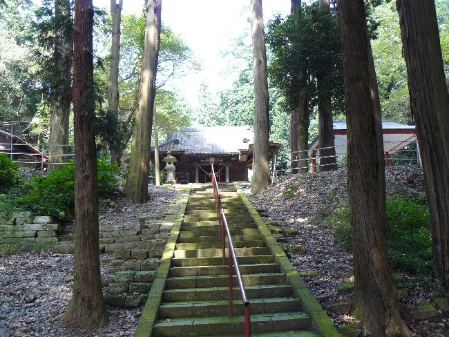 ���q�_��