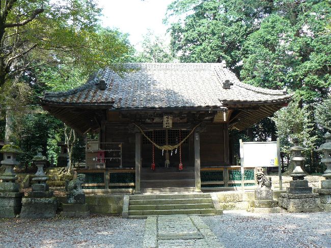 ���q�_��