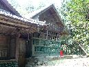 生子神社本殿覆い屋と背後の社叢