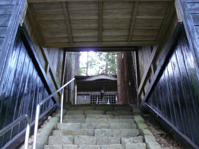 ���o�R�_��