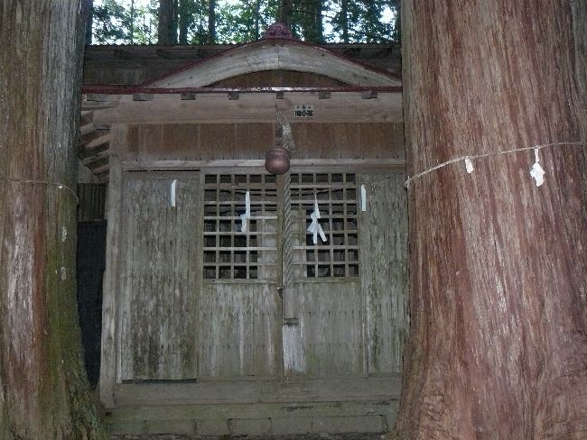 ���o�R�_��