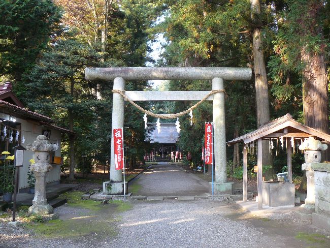 �{�������{