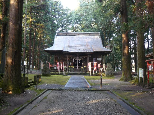 �{�������{