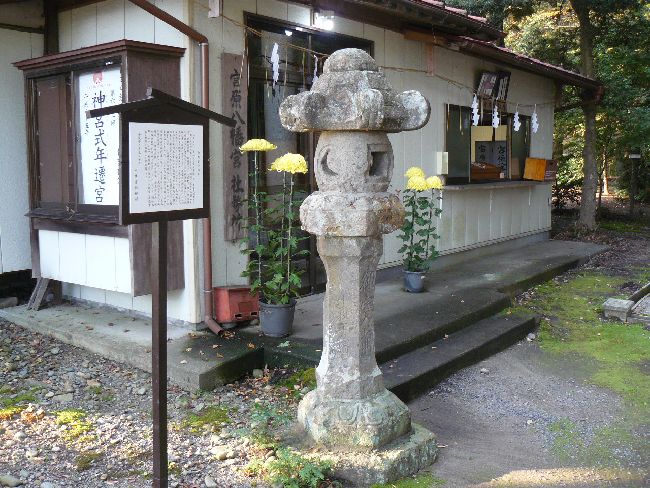 �{�������{