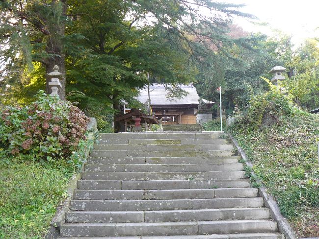 ���_�_��