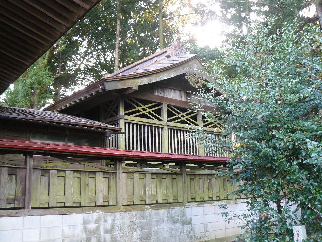 ���_�_��