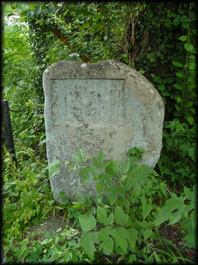 �勴�È����