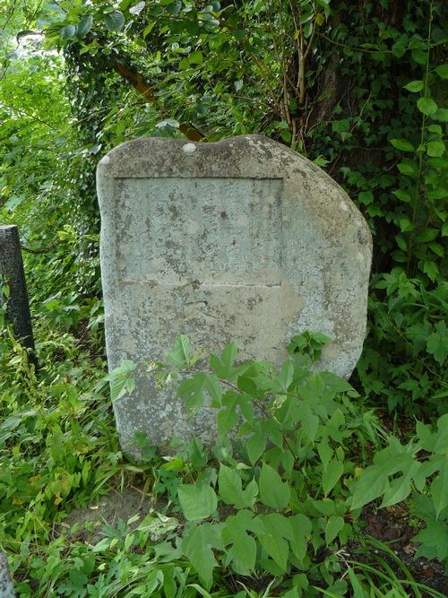 �勴�È����