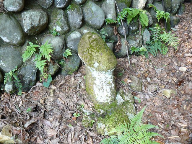 �{���R�_��