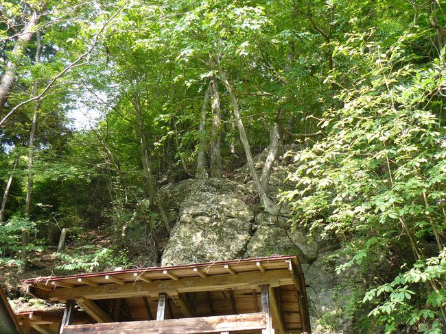 �{���R�_��