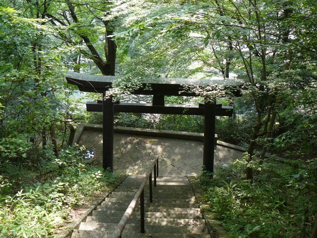 �{���R�_��