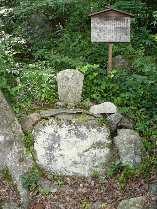 �쎡�����_