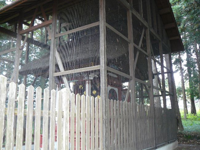 �r���_��