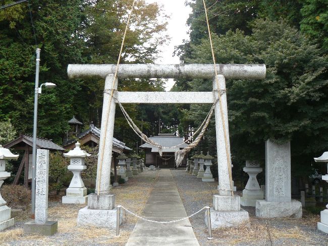 �����_��