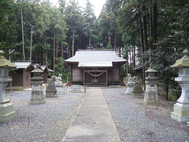 �����_��