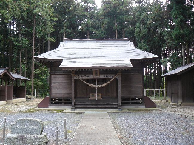 �����_��