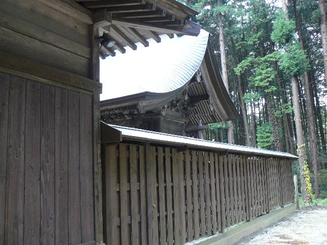 �����_��