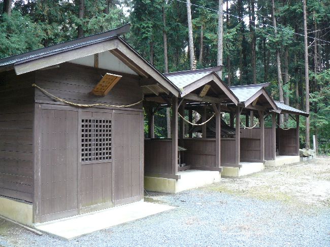 �����_��