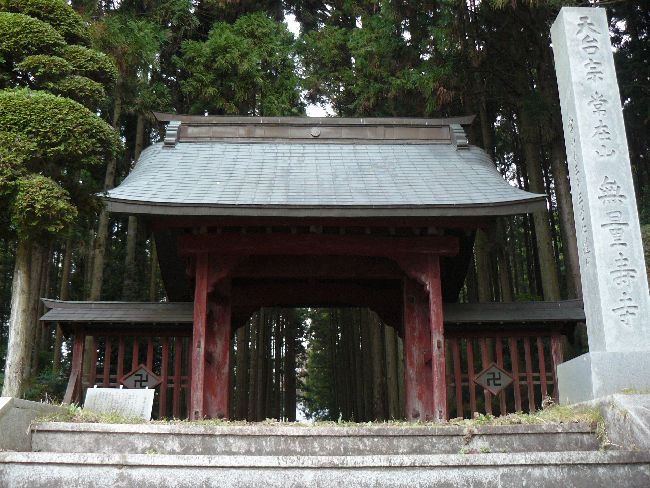 ���ʎ���