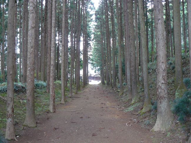 ���ʎ���