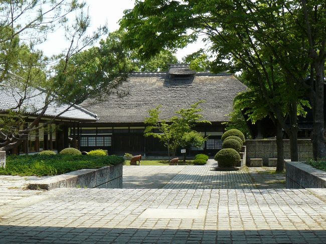 ���_�c���i�@