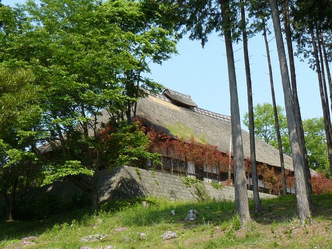 ���_�c���i�@