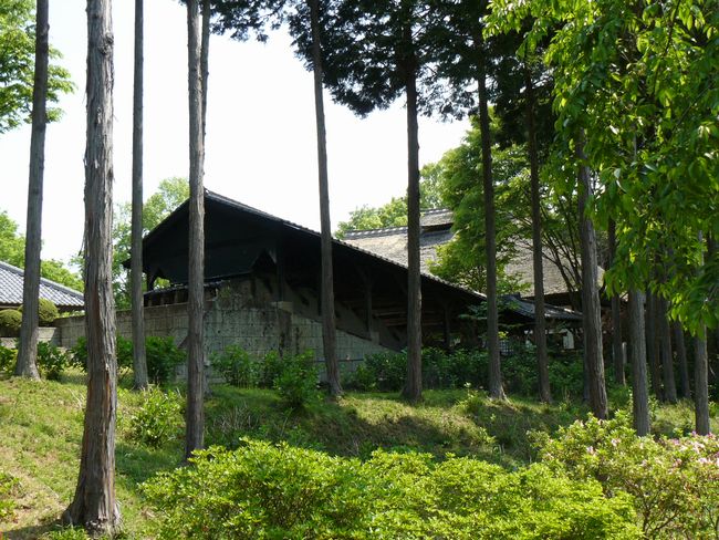 ���_�c���i�@