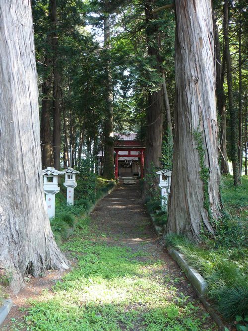 ���}�_��