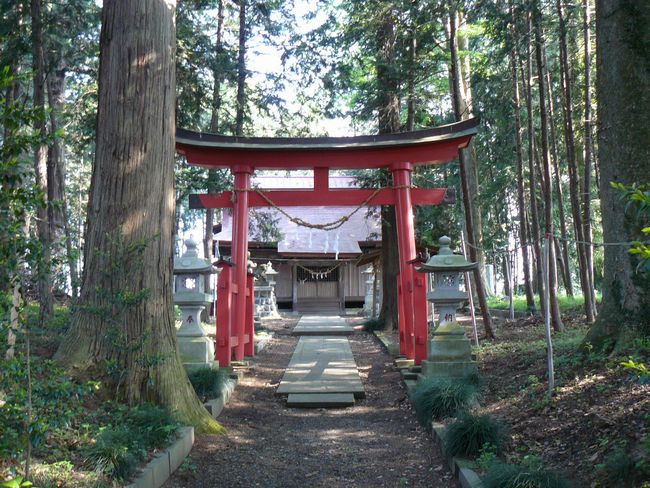 ���}�_��