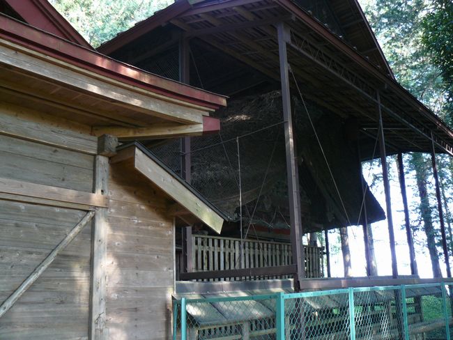 ���}�_��