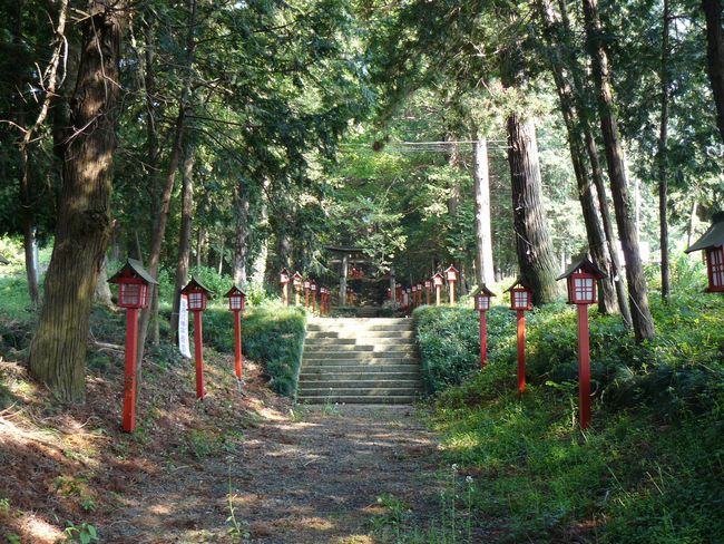 �T�������{