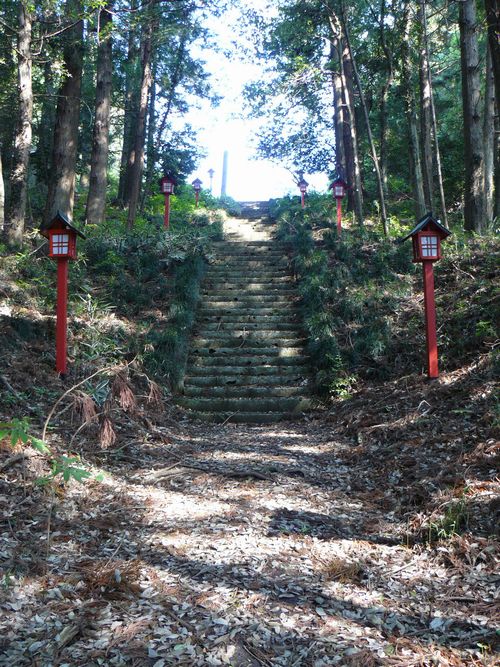 �T�������{