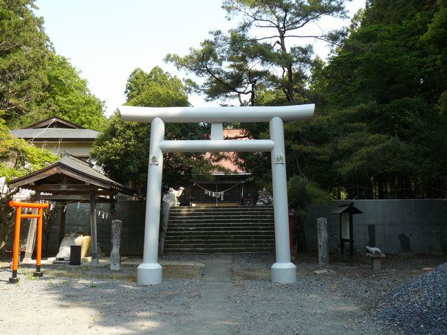 �T�������{