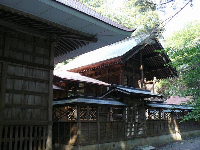 �T�������{