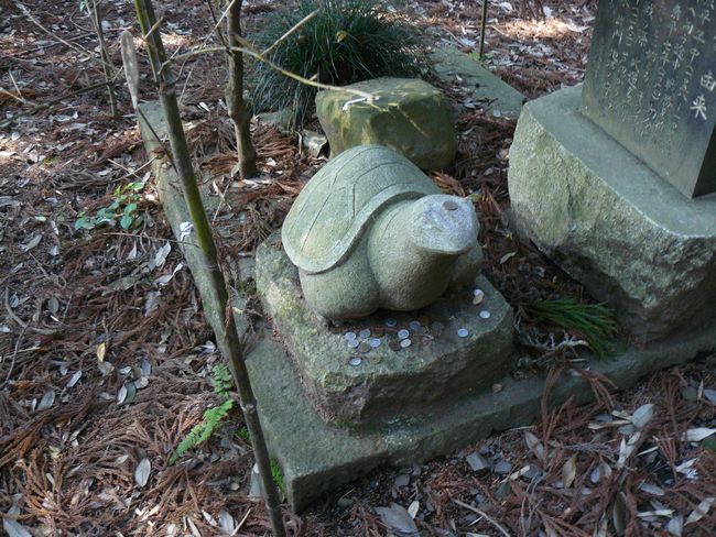 �T�������{