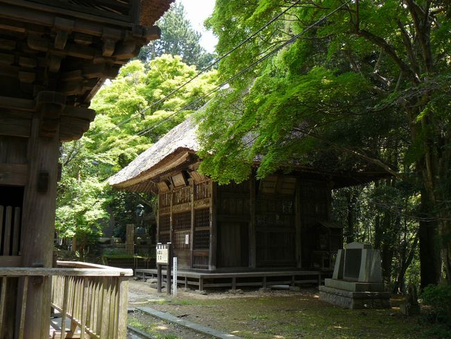 腖����i�������j