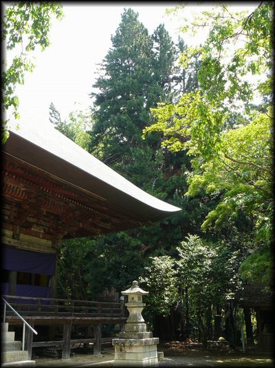 ������܂�