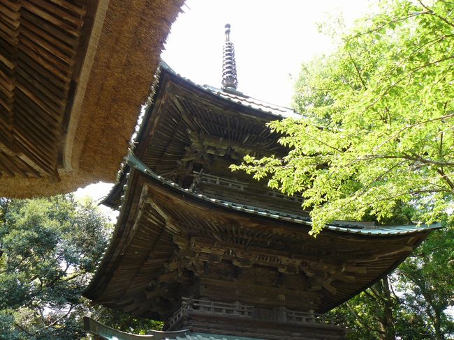 �O�d���i�������j