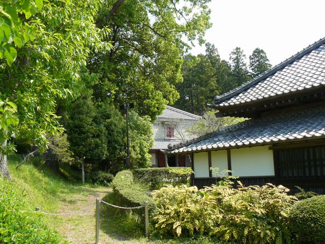 �v�q�Q�l��