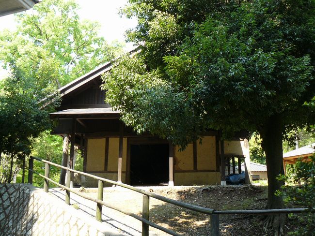 �v�q�Q�l��