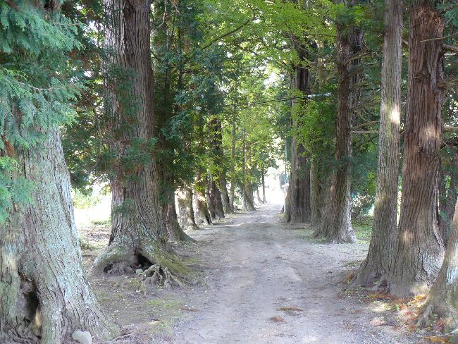 �ˉB�_�ЁE�Q��