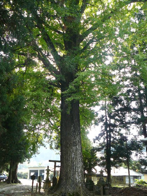 ��_�؁E��_��