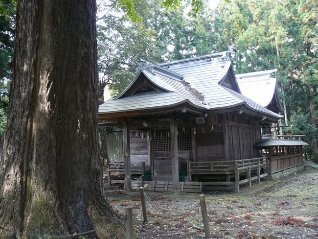 �ˉB�_�ЁE�{�a