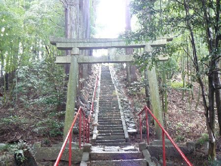 ����ⴍ��_��